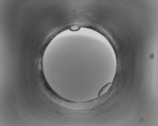 X0000116760019201001281621