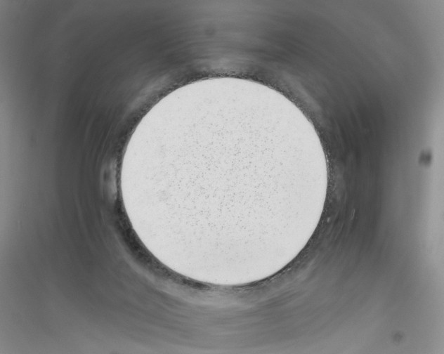 X0000116760020201001281621