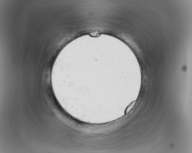 X0000116760021201001281621