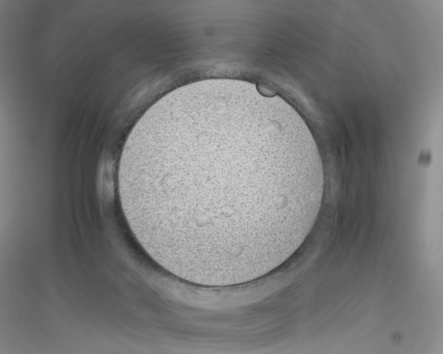 X0000116760022201001281621