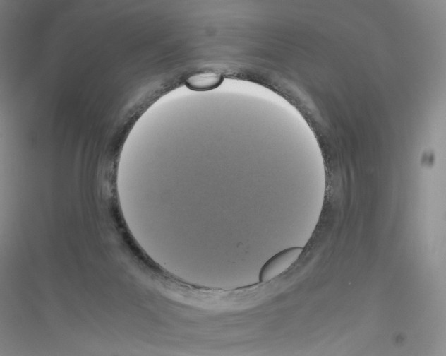 X0000116760023201001281621