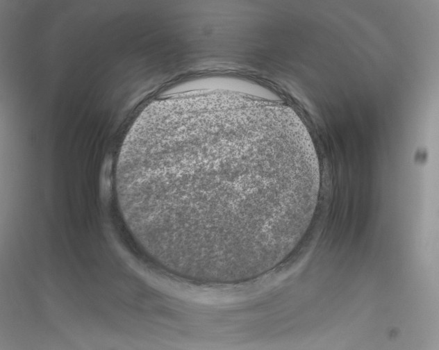 X0000116760024201001281621