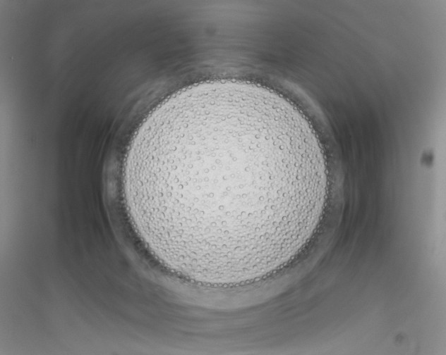 X0000116760026201001281621