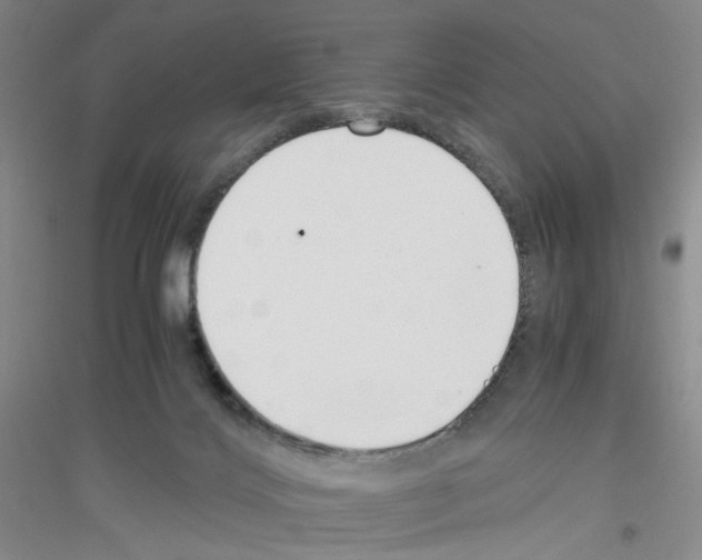 X0000116760028201001281621