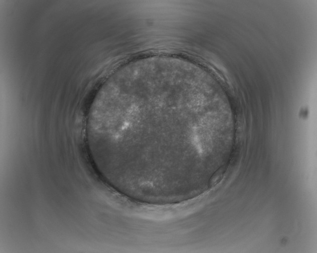 X0000116760029201001281621