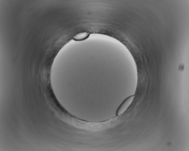 X0000116760031201001281621