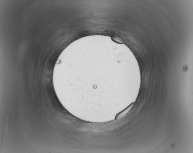 X0000116760033201001281621