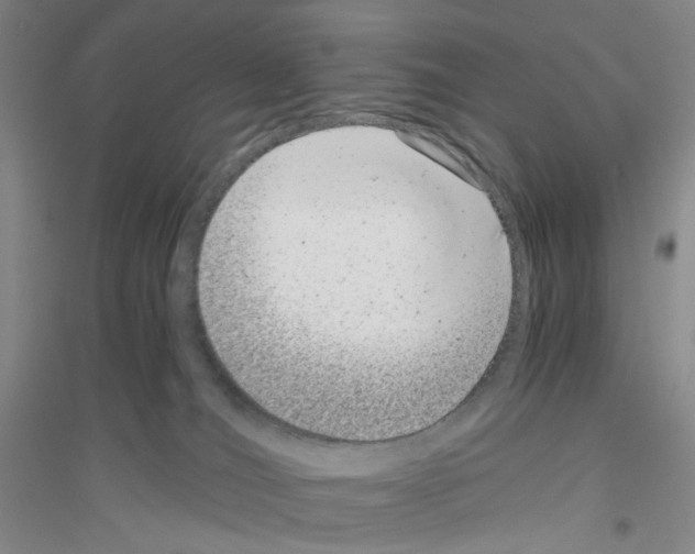 X0000116760036201001281621