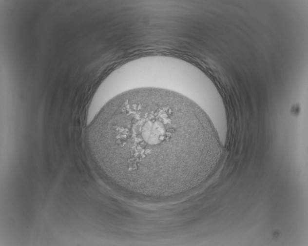 X0000116760037201001281621