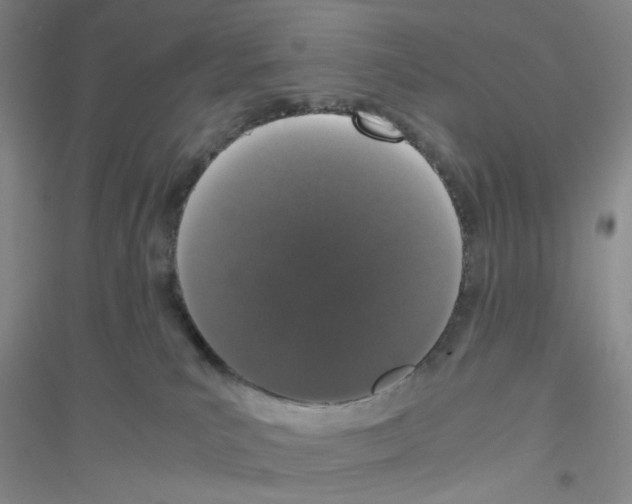 X0000116760039201001281621