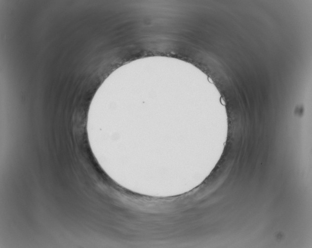 X0000116760040201001281621