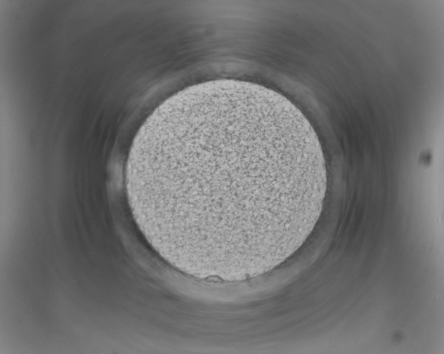 X0000116760042201001281621