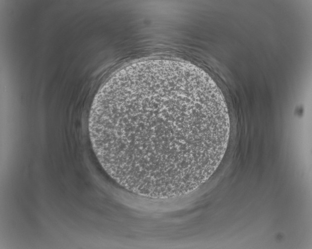 X0000116760043201001281621