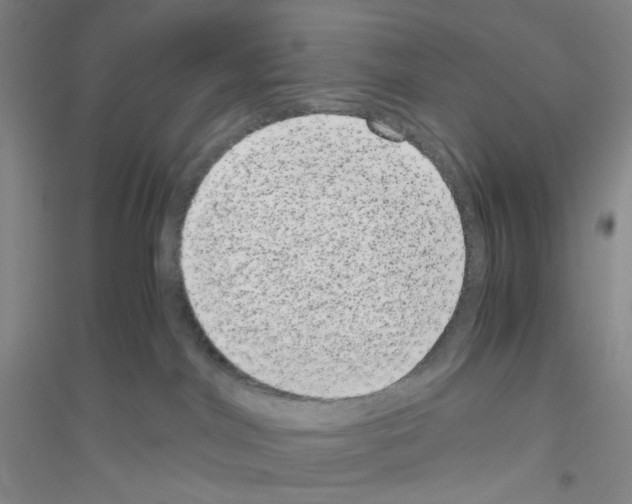 X0000116760044201001281621