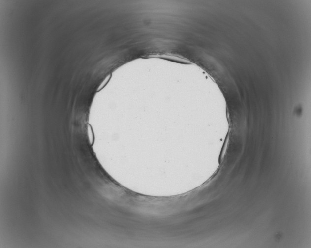 X0000116760045201001281621