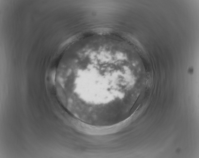 X0000116760047201001281621