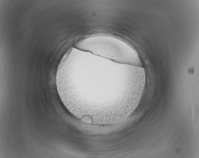 X0000116760048201001281621