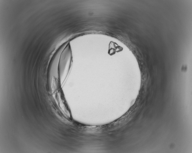 X0000116760050201001281620