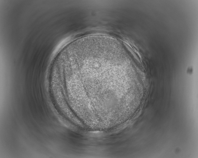 X0000116760053201001281620