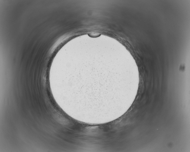 X0000116760054201001281620