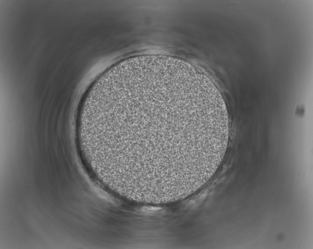 X0000116760055201001281620