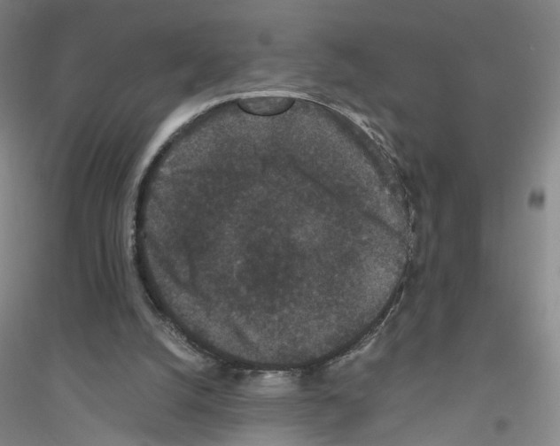 X0000116760056201001281620