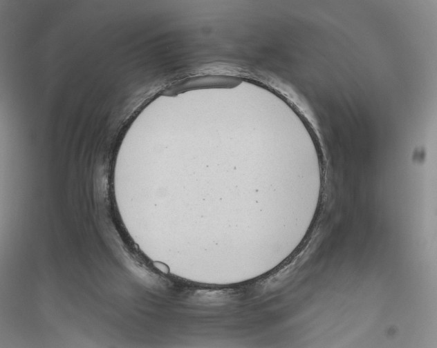 X0000116760057201001281620