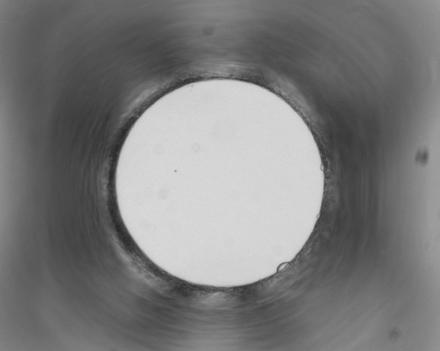 X0000116760058201001281620