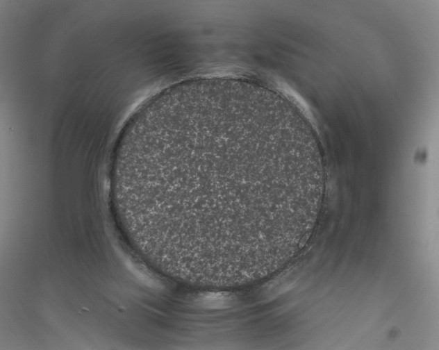 X0000116760059201001281620