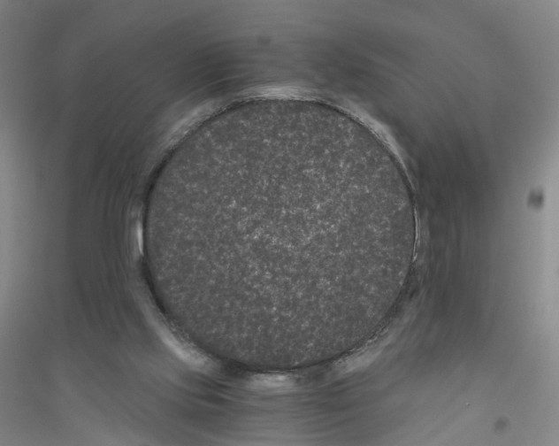 X0000116760061201001281620