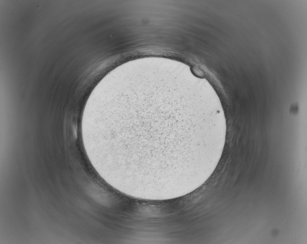 X0000116760062201001281620