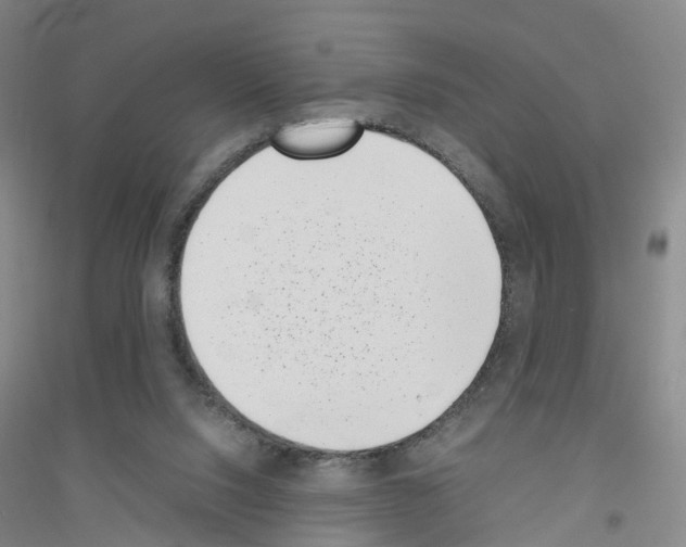 X0000116760064201001281620