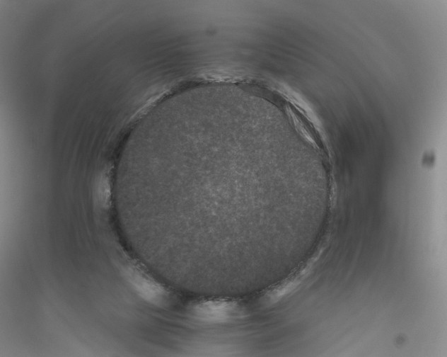 X0000116760065201001281620