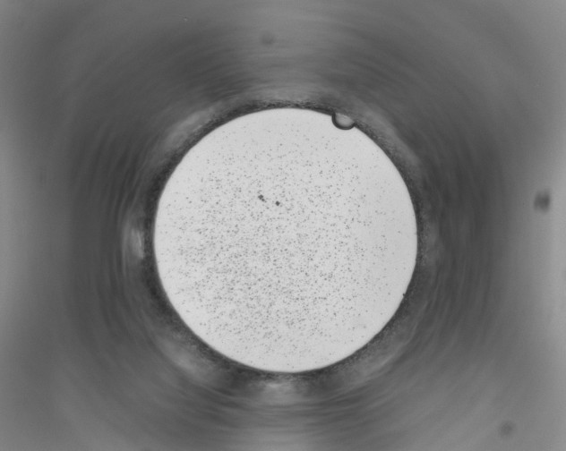 X0000116760068201001281620