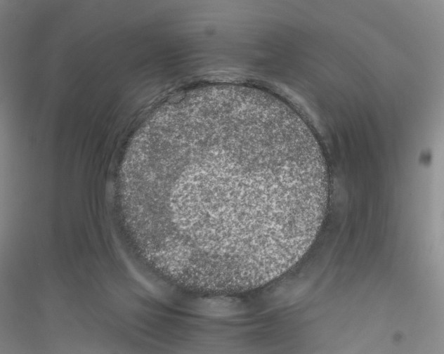 X0000116760069201001281620