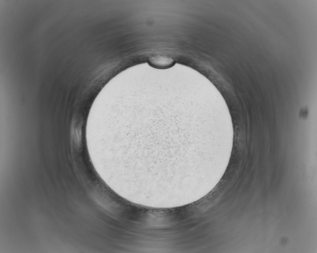 X0000116760070201001281620