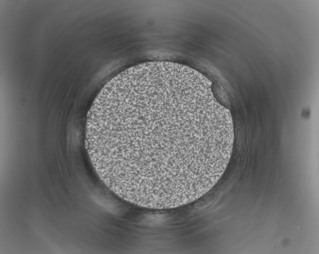 X0000116760071201001281620