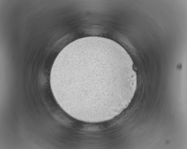 X0000116760073201001281620