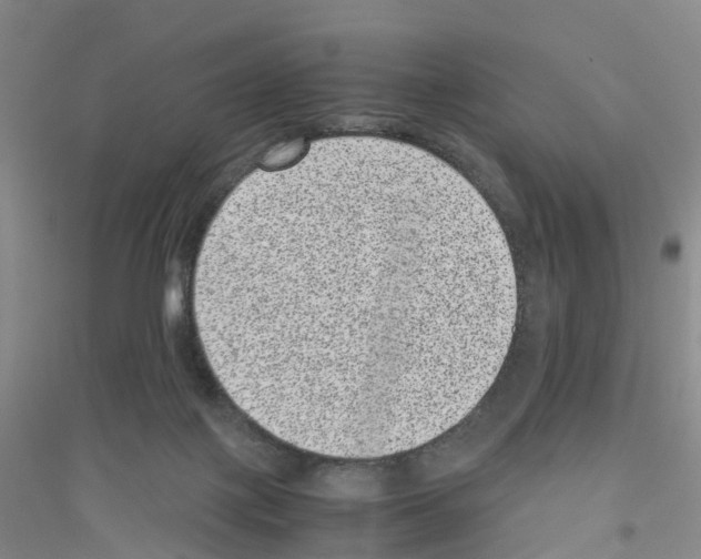 X0000116760075201001281620