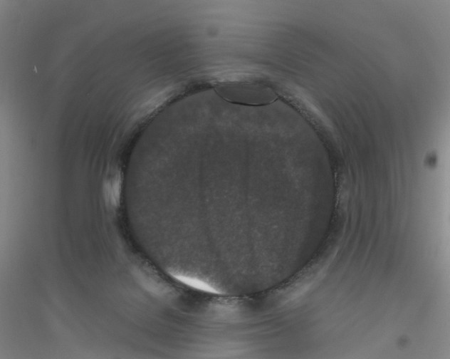 X0000116760076201001281620