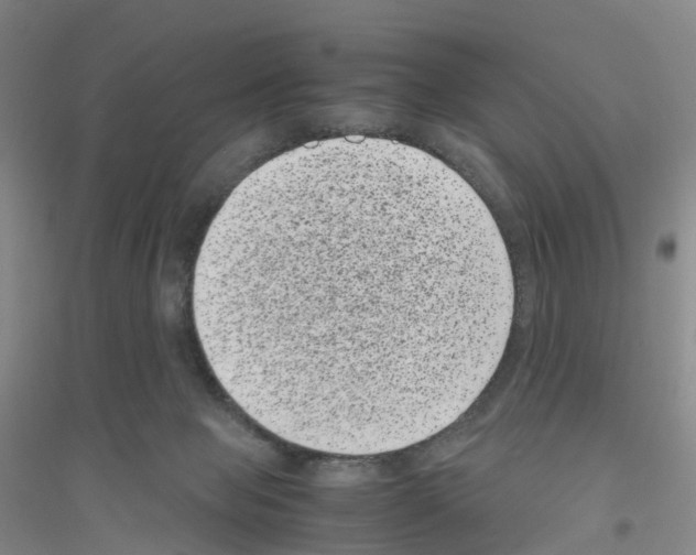 X0000116760077201001281621