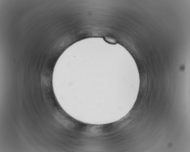 X0000116760078201001281621