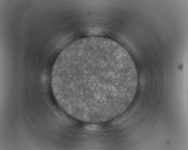 X0000116760079201001281621