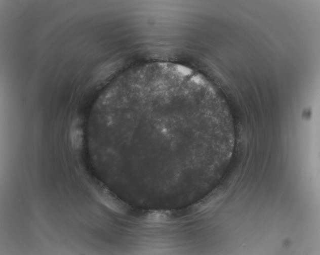 X0000116760080201001281621