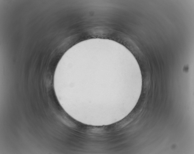 X0000116760081201001281621