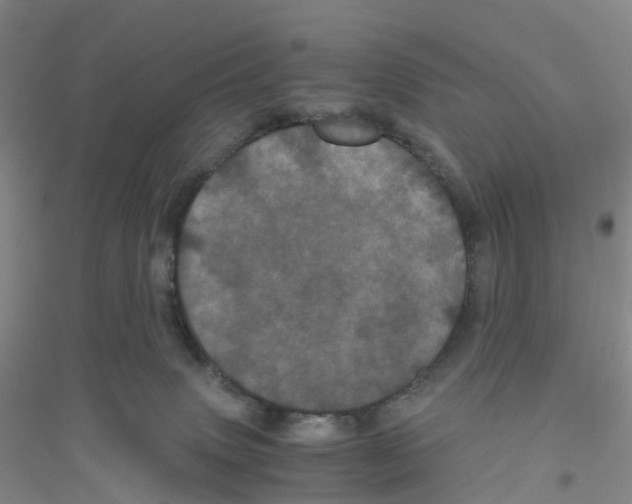 X0000116760083201001281621