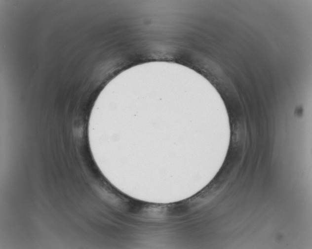 X0000116760084201001281621