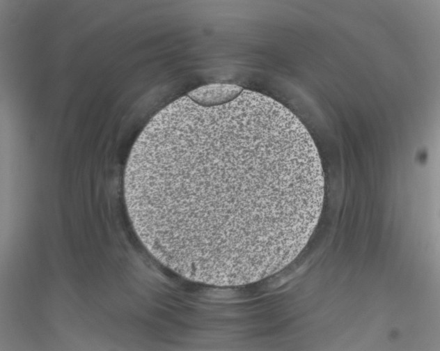 X0000116760085201001281621