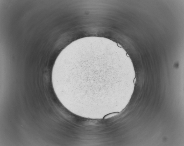 X0000116760086201001281621