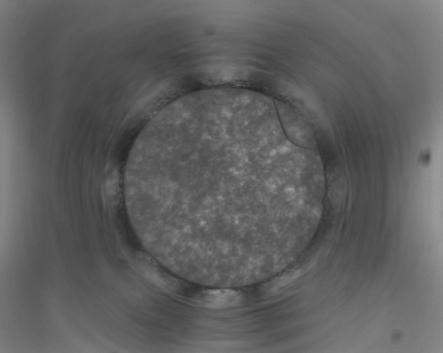 X0000116760087201001281621